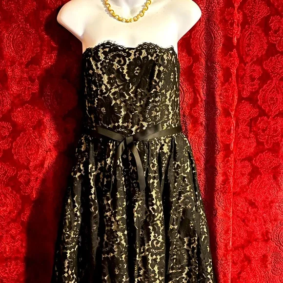 size 18 black dress Primavera Couture 3919 Ombre Fringe Color:Black 1F44900 Step into confidence and 2025 NOV Kay Unger Chandler Walk
